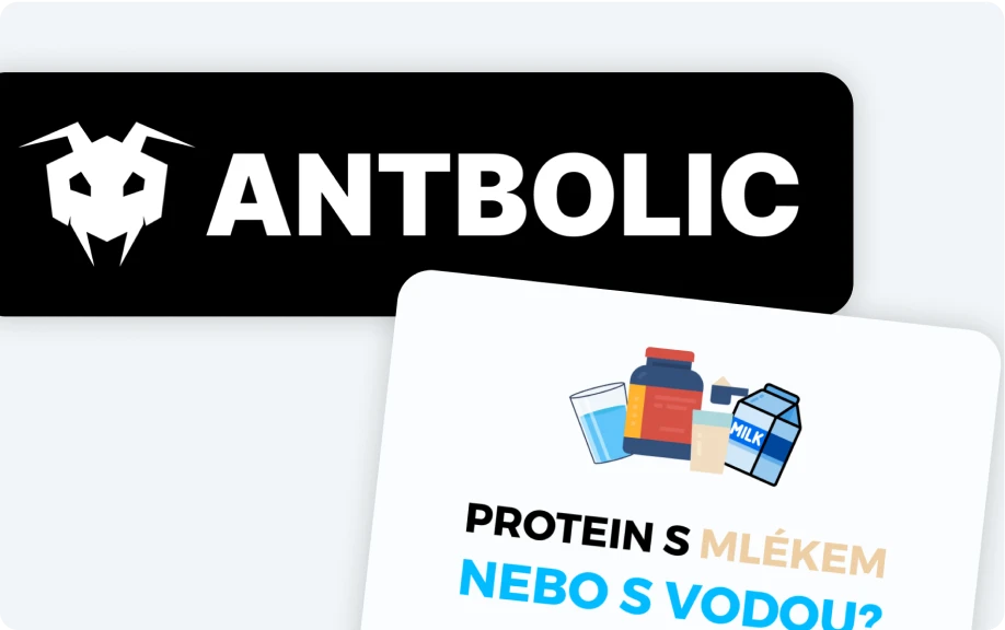 Obrázek návrhu loga a příspěvků pro ANTBOLIC